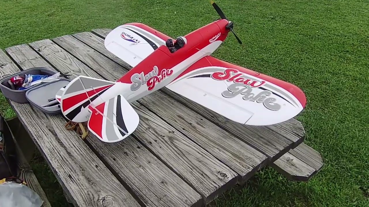 2 Eclipson Wolf 3D Printed RC planes, Durafly Slowpoke, Lazy Bee