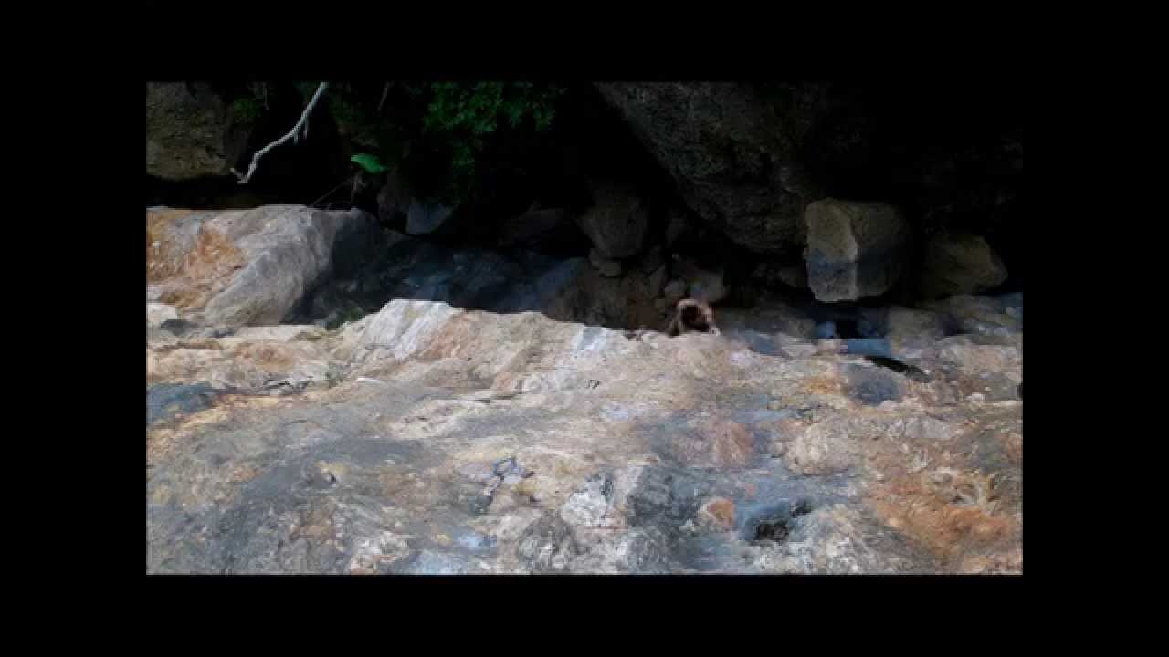 Escalada em Portugal - Fenda: Bambi