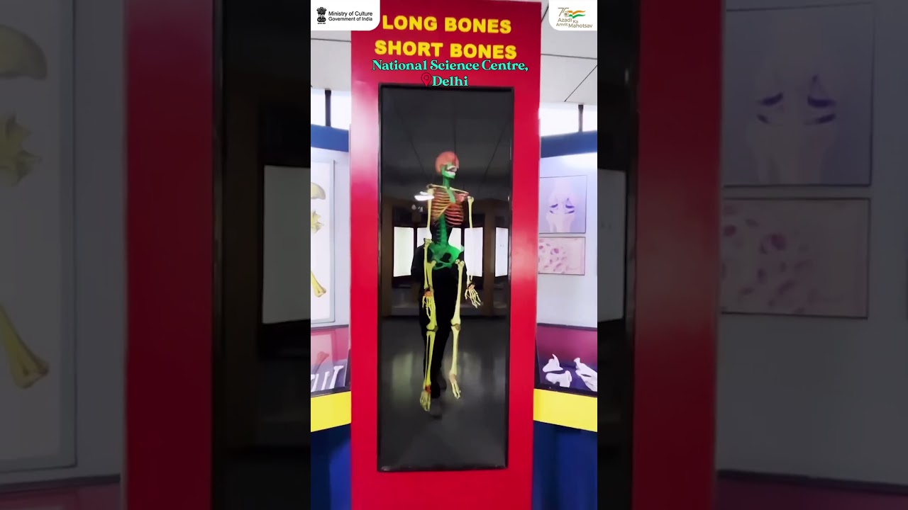 National Science Centre Delhi: A Fun Science Adventure | Ministry&nbsp;of&nbsp;Culture