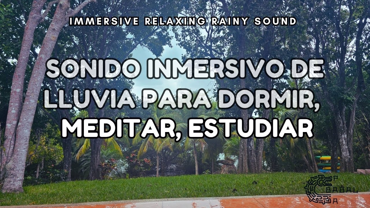 Sonido Inmersivo de Lluvia Para Dormir, Meditar, Estudiar | Immersive Relaxing Rainy Sound
