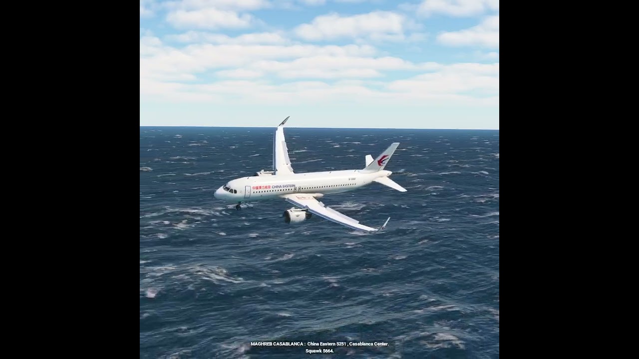 the pilot's actions endangered the plane's passengers EP292
