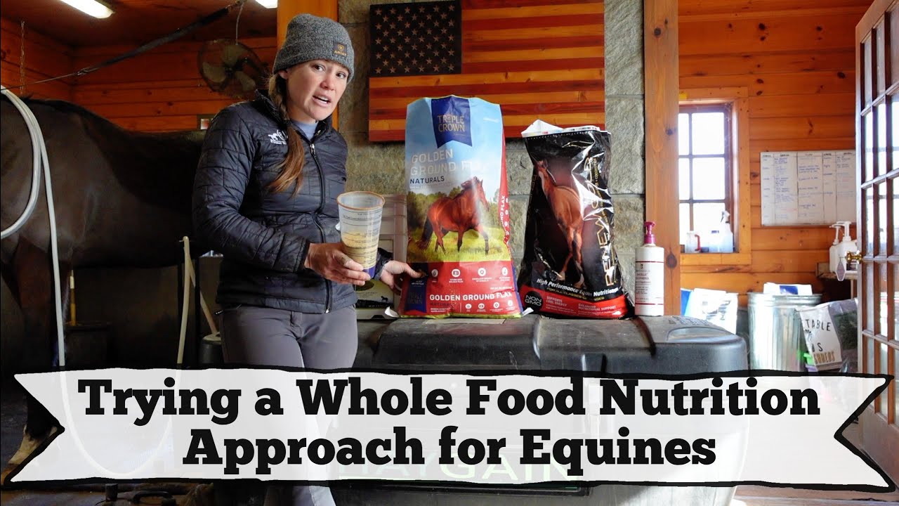 Trying a Whole Food Nutrition Approach with my Thoroughbred • I went Grain Free // EQUESTRIAN VLOG