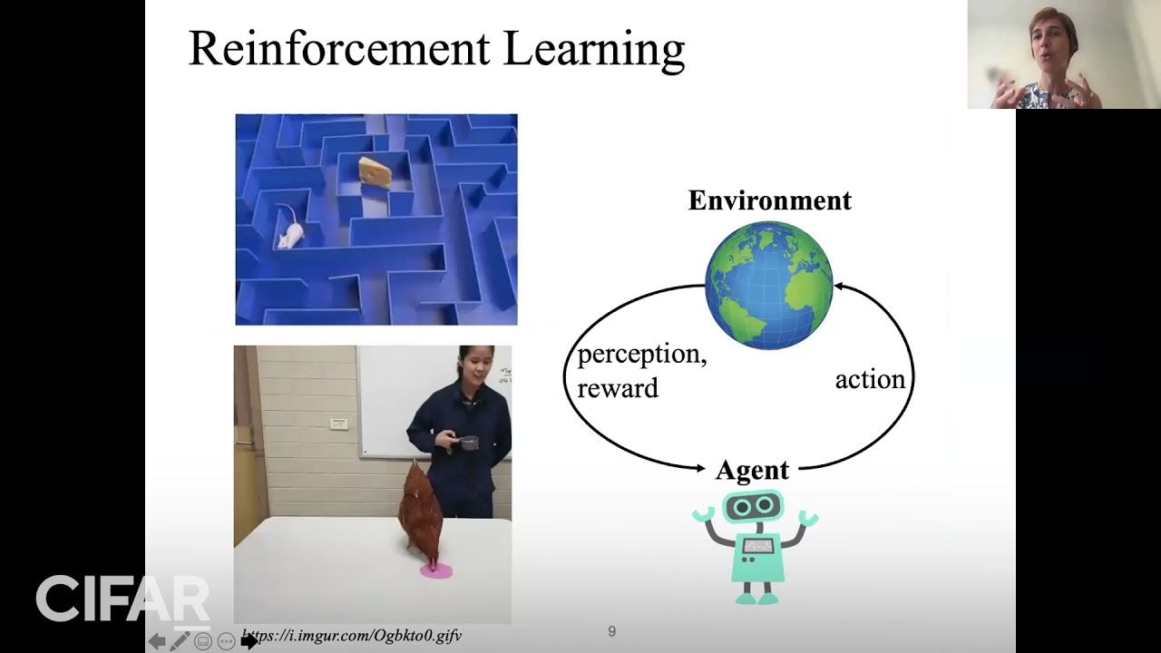 DLRL Summer School 2021 -  Better Experiments in RL - Joelle Pineau