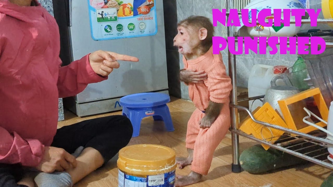 Oly naughty gets punished | Oly doesn't listen to her mother