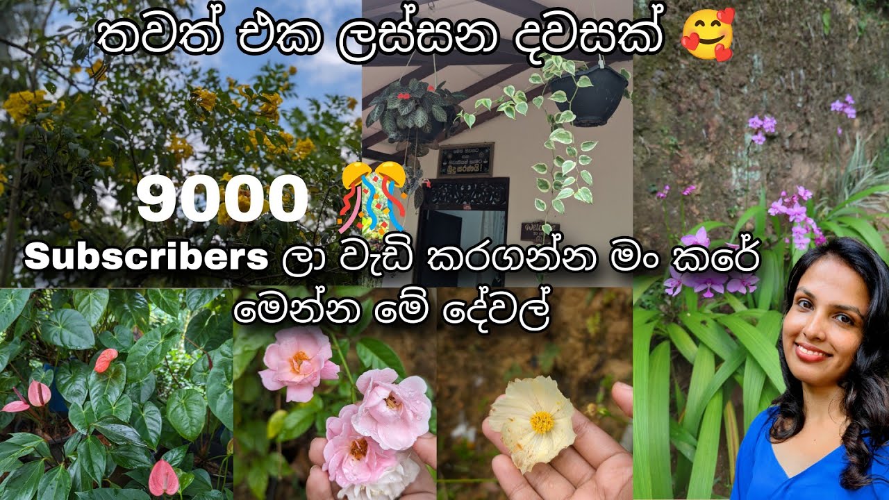 මල් එක්ක ගෙවුනු තවත් දවසක් 🥰 | YouTube චැනල් එකේ subcribers ලා 9000 ක් වුනේ මෙන්න මේ දේවල් නිසයි
