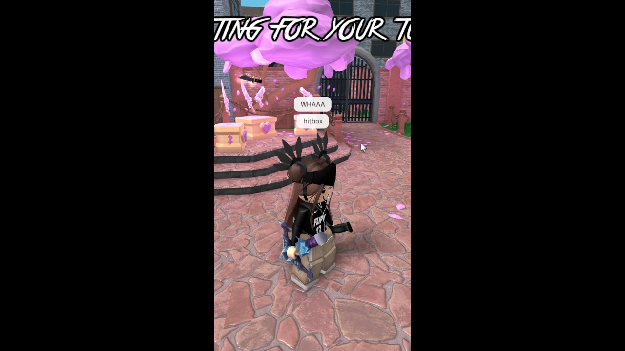 PLAYING MM2 WITH FANS!