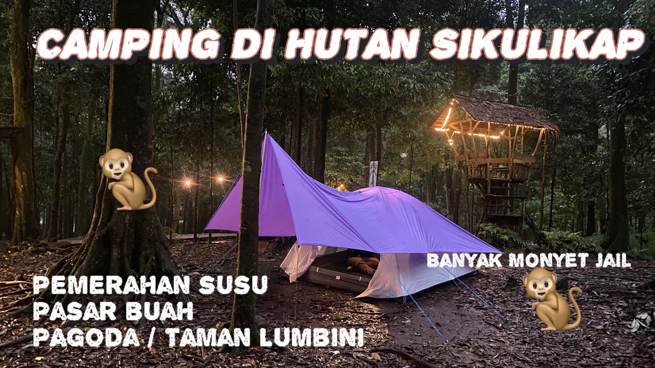 CAMPING DI HUTAN & TREKKING KE AIR TERJUN SIKULIKAP ||  KAB. KARO- BERASTAGI || ROADTRIP SUMUT 2024