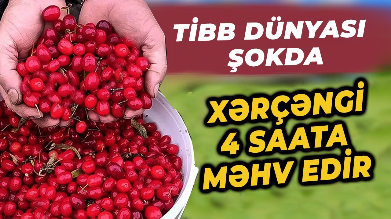 Tibb D&uuml;nyası ŞOKDA &ndash; Xər&ccedil;əng h&uuml;ceyrələrini 4 saatda MƏHV EDİR