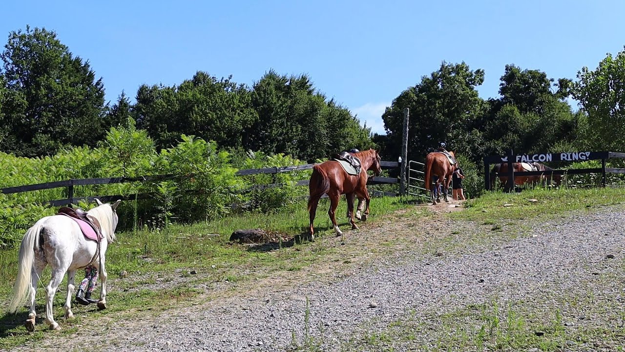 Camp Jewell Ranch Camp Session 2