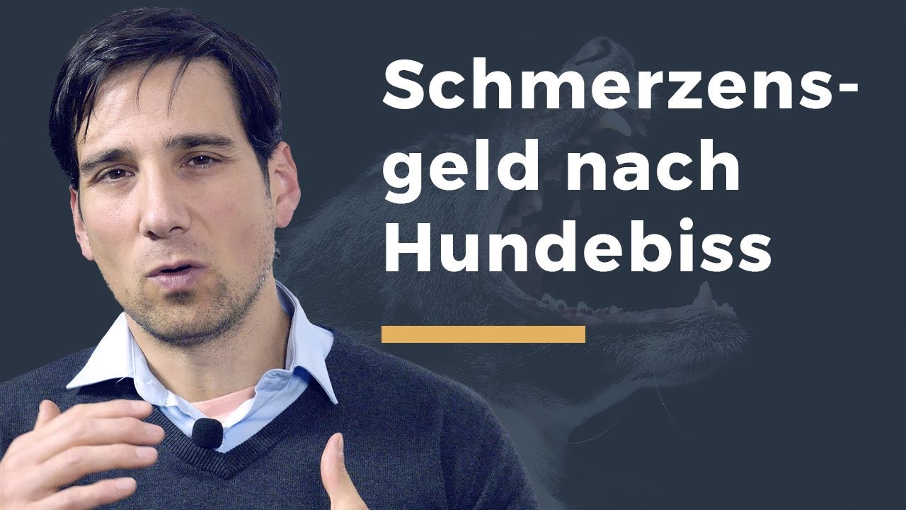 Vom Hund gebissen: Euer Recht auf Schmerzensgeld und Schadensersatz