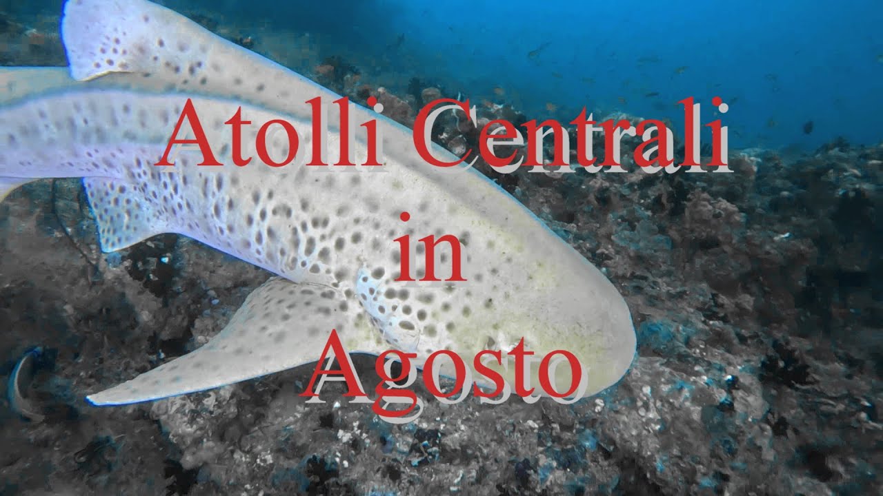 Atolli Centrali in Agosto Central Atolls in August