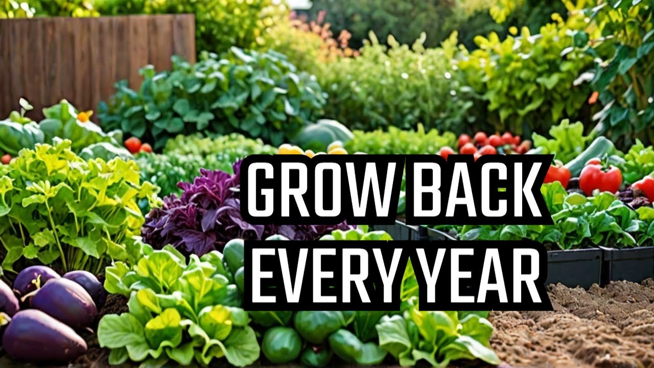 PERENNIAL POWER 10 Vegetables That Come Back Every Year!