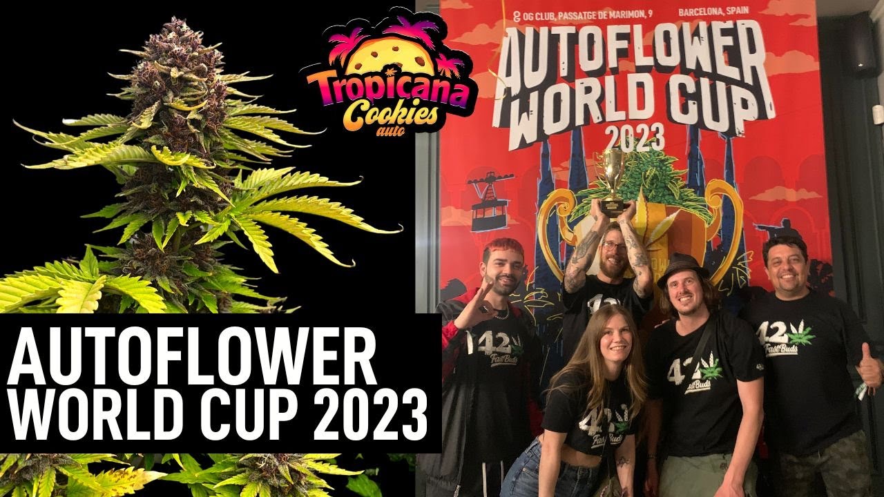 Autoflower World Cup 2023