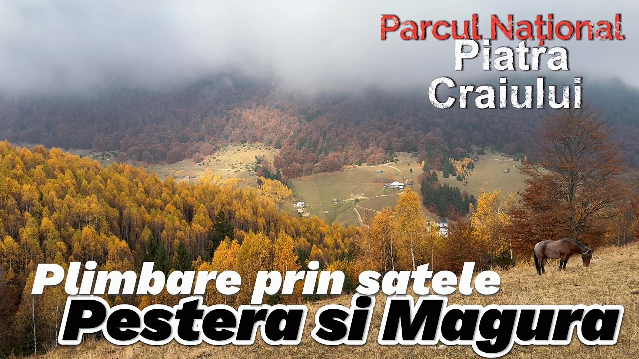 Peisaje de toamna prin satele Pestera si Magura, Brasov, Piatra Craiului, octombrie 2024 #calatorii