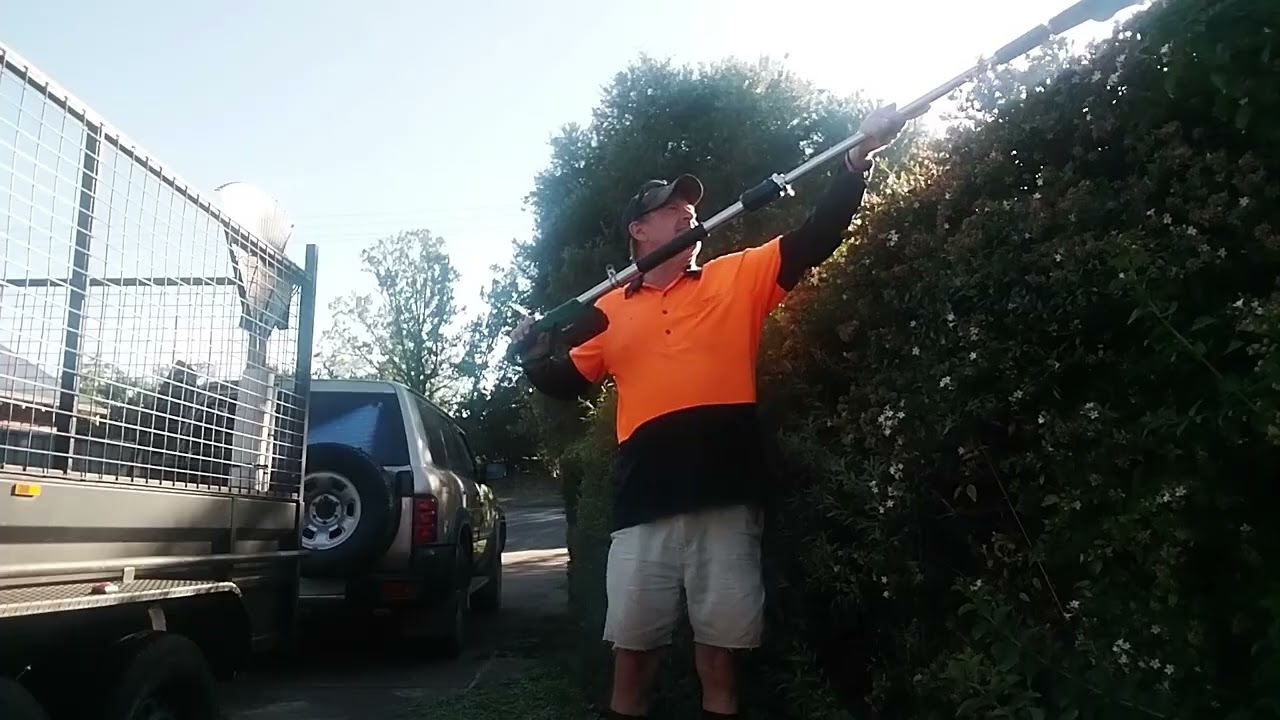 Trimming Shrubs & Mulch Mowing #lawncare #hondaHRU196