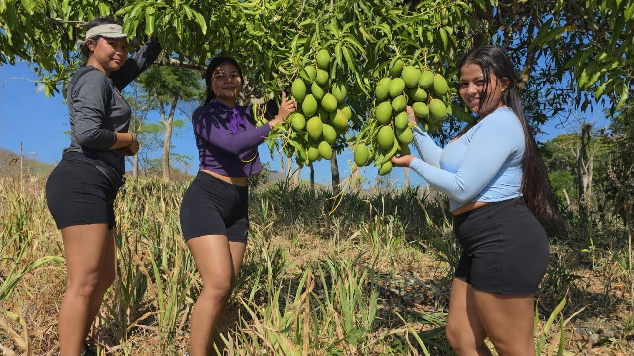 🔴😲ENCONTRAMOS LOS MEJORES MANGOS INDIOS /CHICAS SALVADOREÑAS 