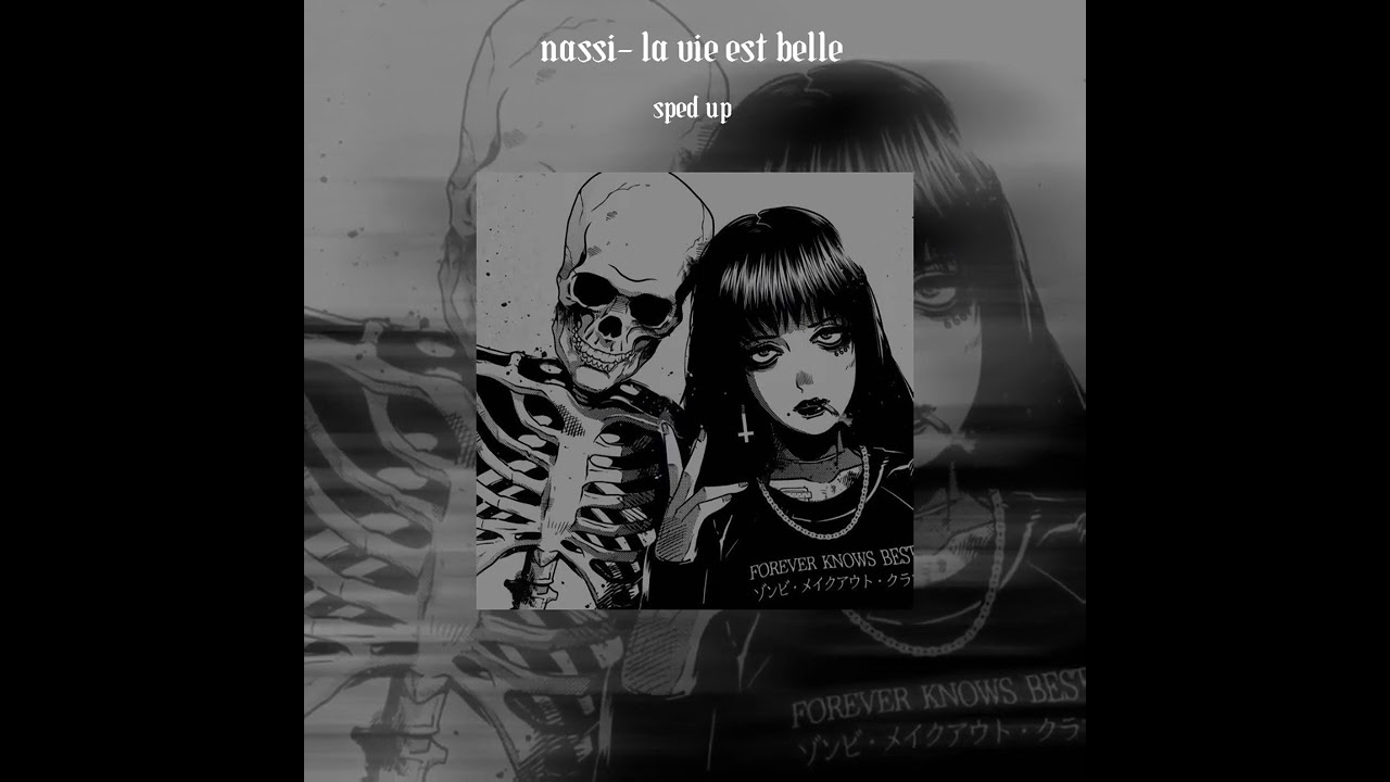 nassi- la vie est belle [sped up]