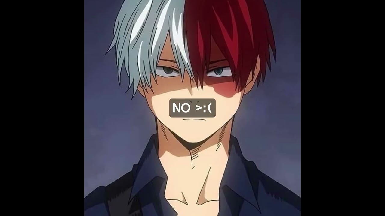 Edit fav ship #anime #mha #mhaedit #myheroacademia #dekuxtodoroki #shototodoroki