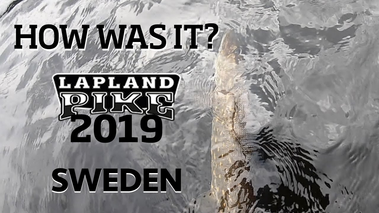 Stiuca in Suedia la concursul Lapland Pike 2019. Dorotea Camp Lapland.