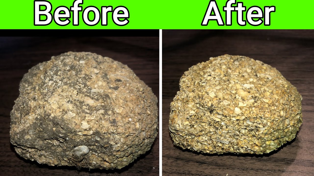 ЛУЧШИЙ способ очистки ракушечника, который я нашел