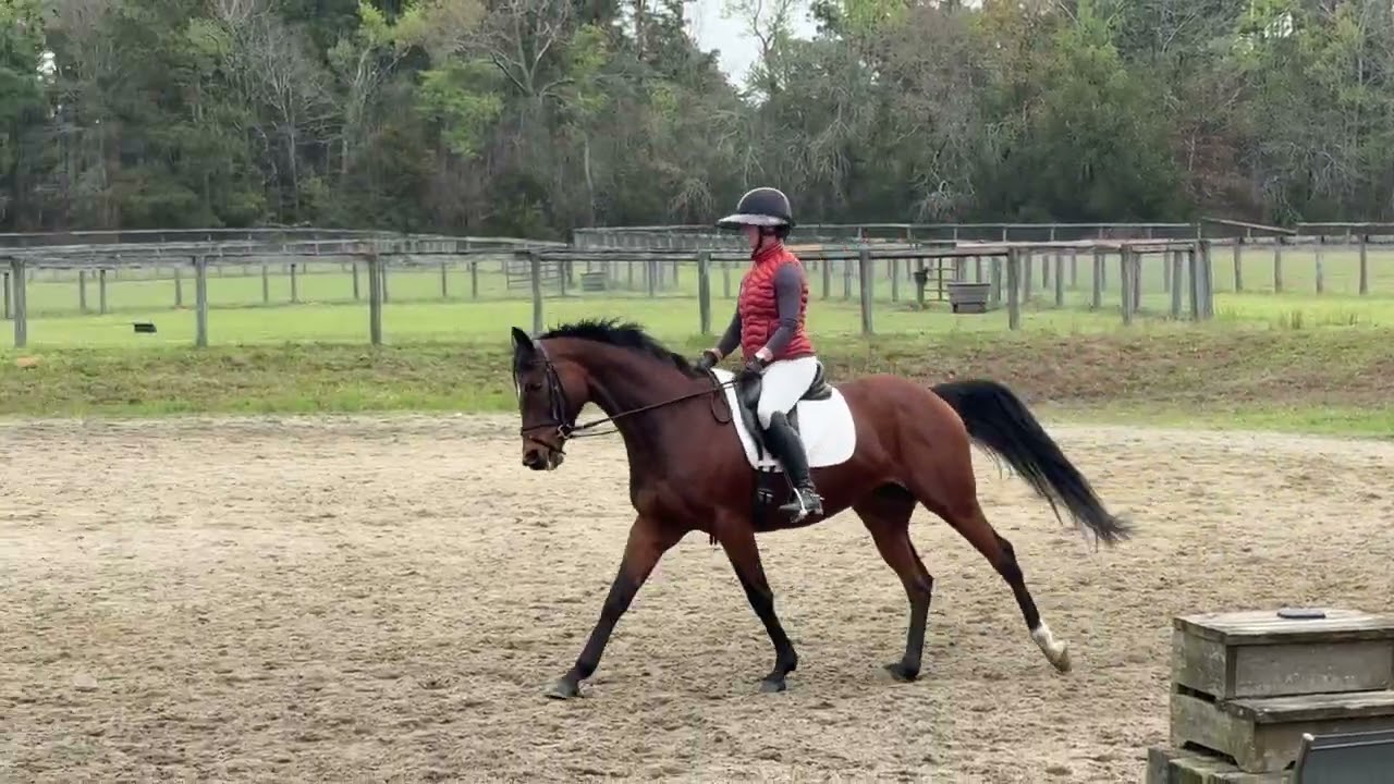 Gandi's Teardrop Flatwork