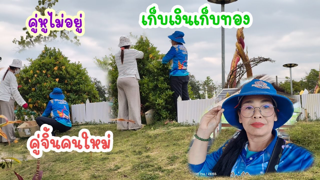 ใครช่วยเราเก็บใบโพธิ์คู่หูหายไปไหน