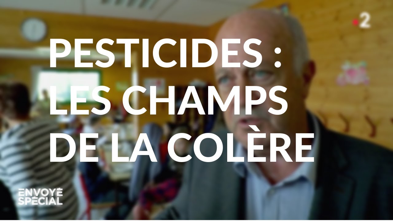 Envoyé spécial 