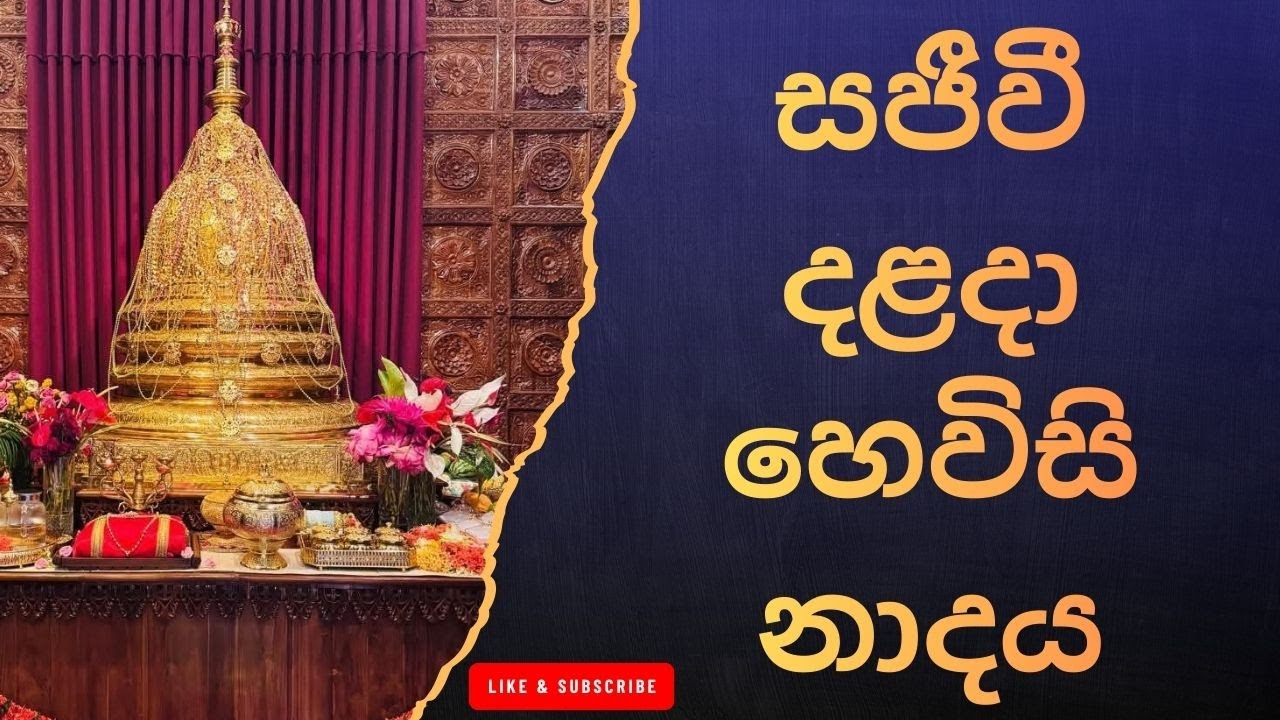 දළදා මාලිගාවේ සවස් තේවා හේවිසි – හදවත පිරිසිදු කරන නාදය 🎵 SIRI DALADA THEWA HEVISI NADAYA