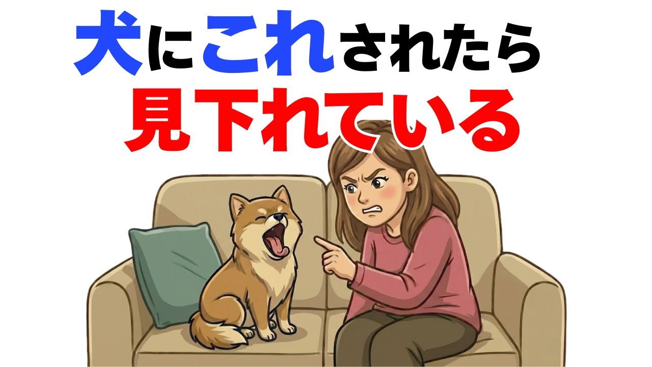 【注意】犬が飼い主を見下している時にする行動７選