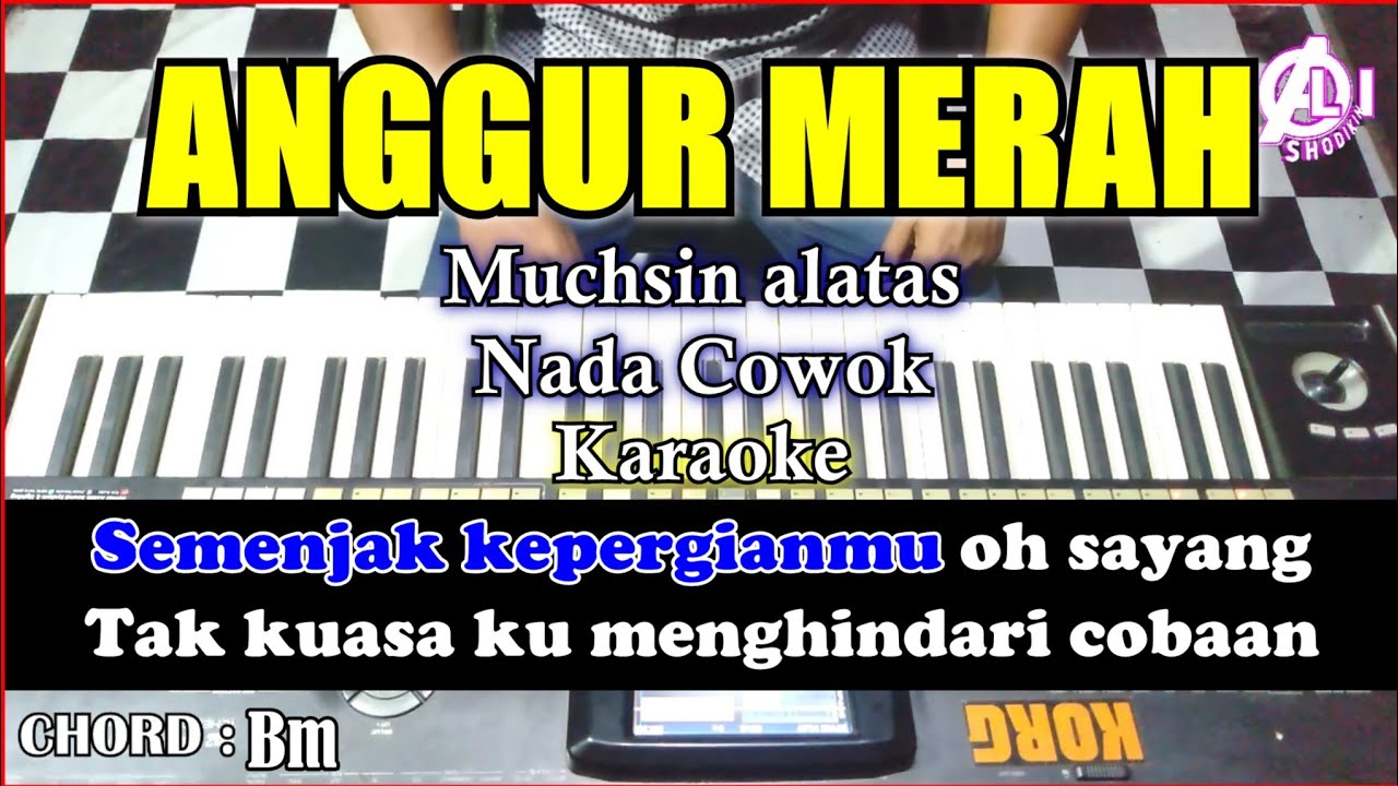 ANGGUR MERAH Muchsin Alatas Karaoke Dangdut Korg Pa3x (Nada Cowok)