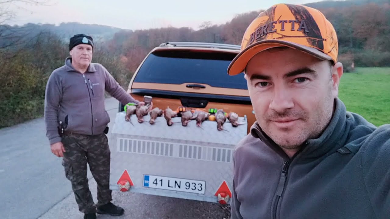 &Ccedil;ulluk Avı 🪶🐾Ercan Pointer Setter Carmen, Elissa, Kobra II  Woodcock Hunting 2024