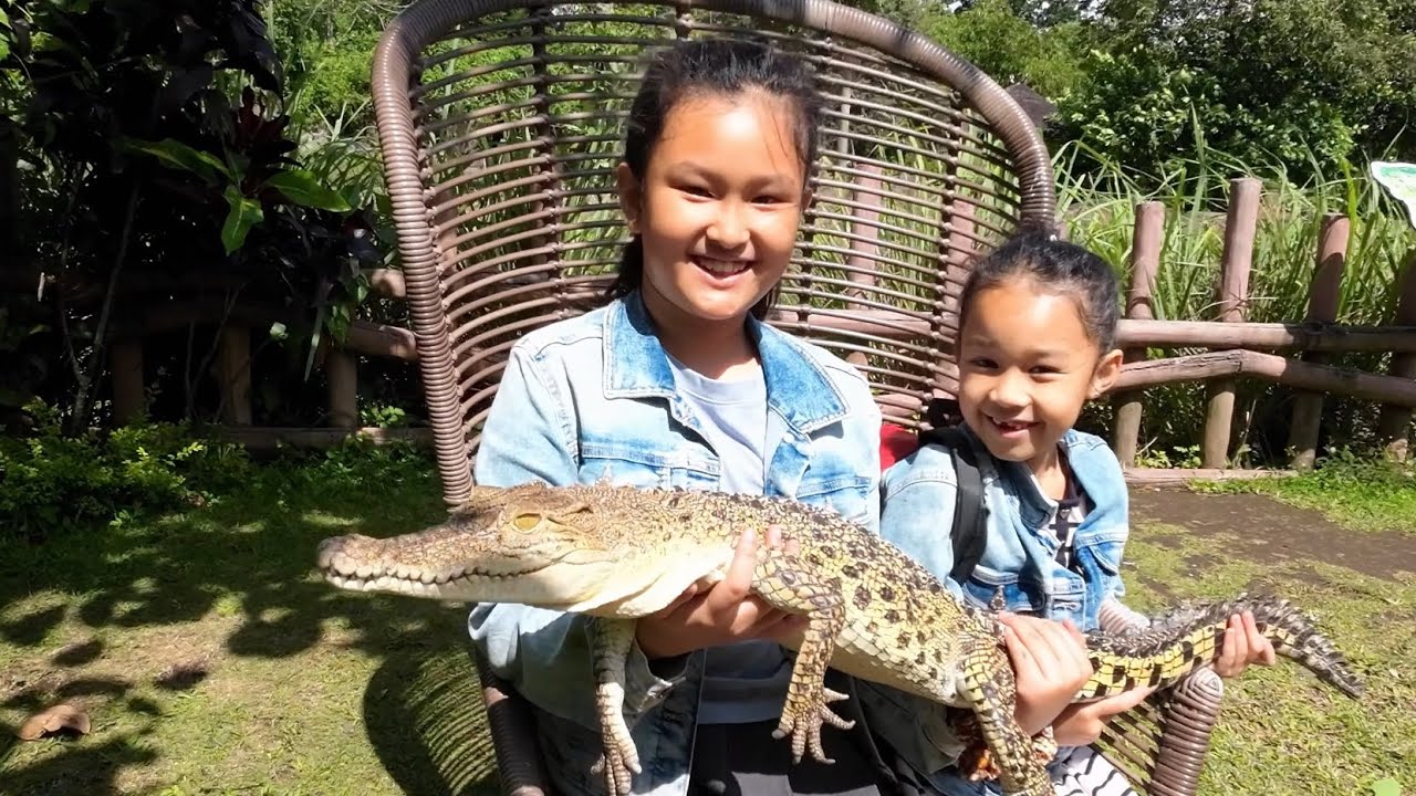 Baobab Safari Resort Taman Safari near Malang Indonesia - Up Close and Personal with Animals Dec 25