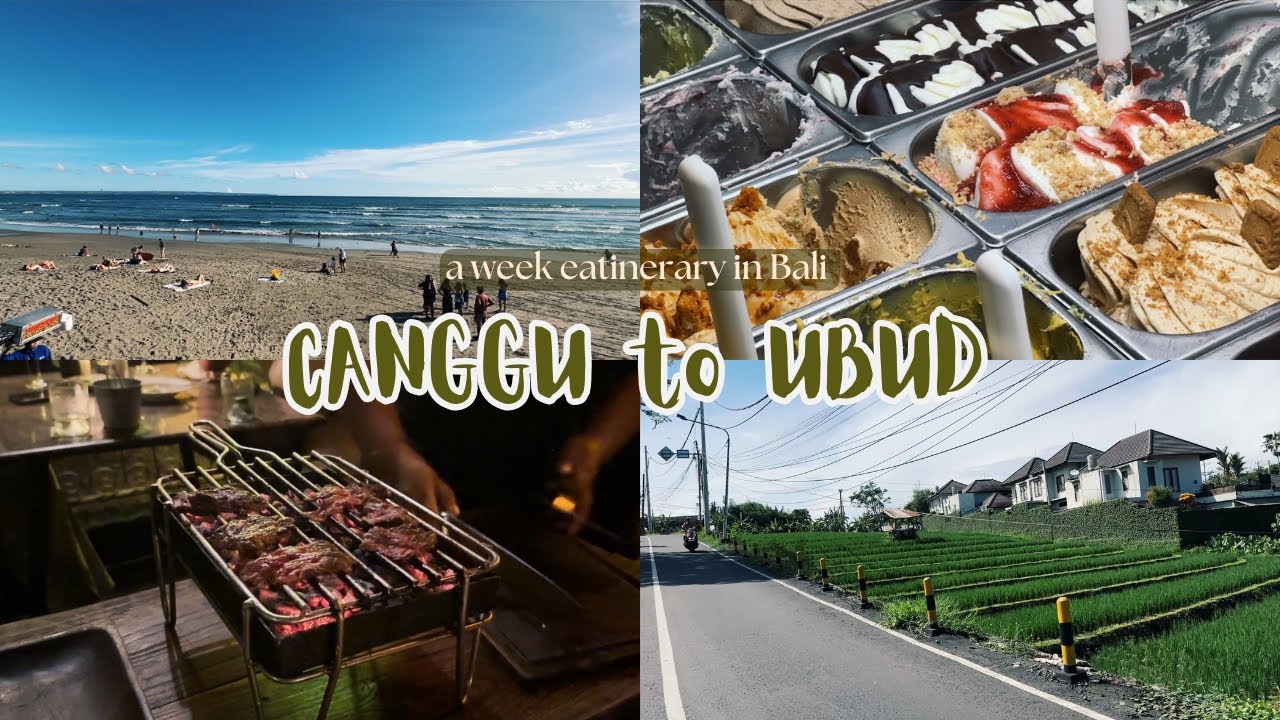 Bali's Vlog 2025 Canggu and Ubud Itinerary