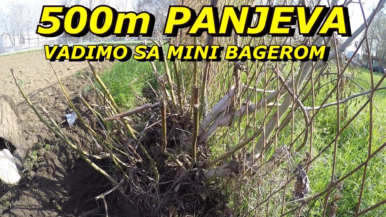 PROJECT EXCAVATOR 41 / vađenje panjeva mini bagerom 500m dužine uz ogradu