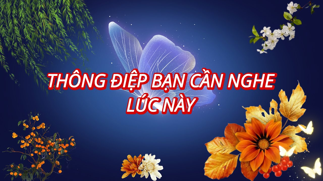 DÙ BẬN CŨNG NÊN NGHE VÌ VŨ TRỤ CÓ ĐÔI LỜI GỬI BẠN LÚC NÀY 🌏🌟 Người đưa thư #233