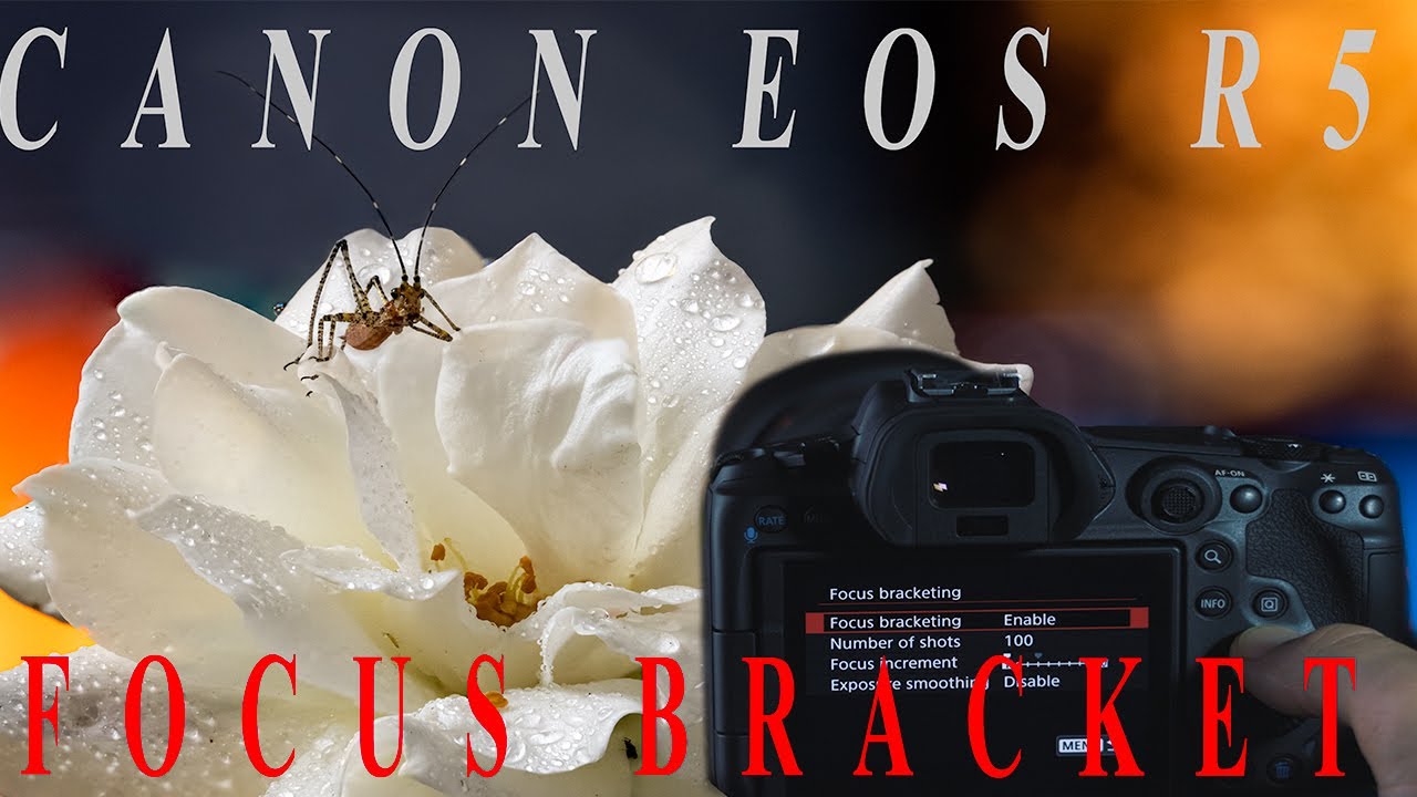 Canon R5 - Focus Bracketing and Macro Photography - Review