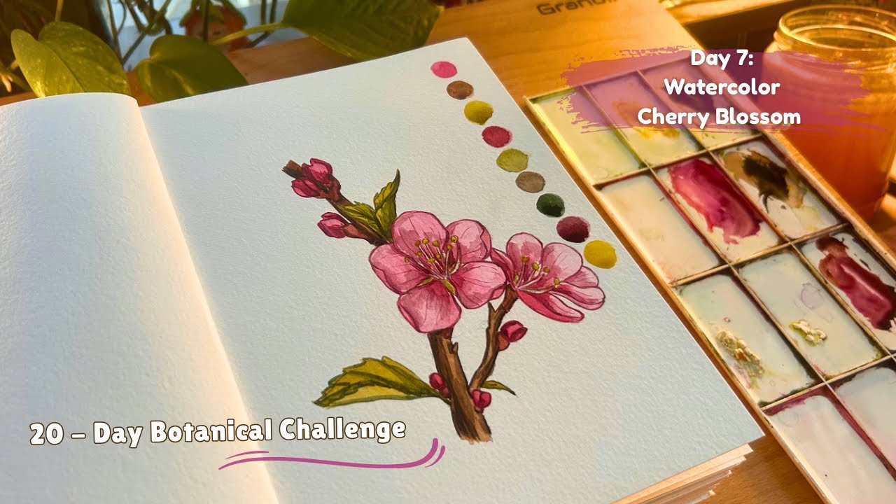 How to Paint Cherry Blossom in Watercolor 🌸 | ASMR Calm Real-Time Botanical Art | White Nights ✨