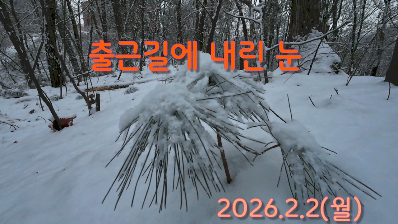 2026.02.02 눈오는 출근길에 바라본 풍경