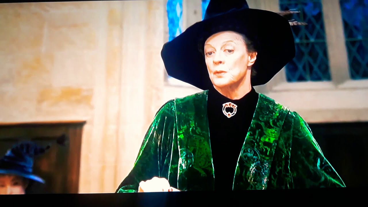 Harry Potter and The Philosopher's Stone | Sorting Hat part