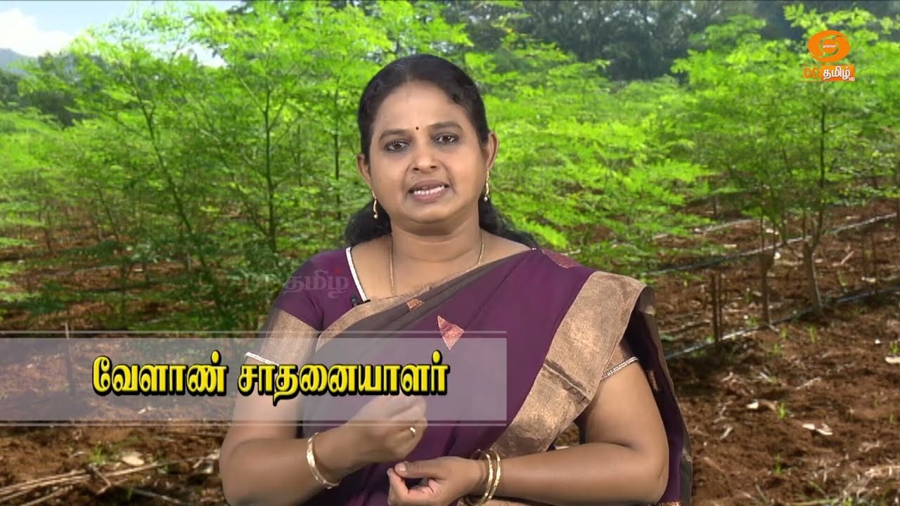 PROMO | பொன் விளையும் பூமி | 24.02.2026 | #agriculture #farming #farmer