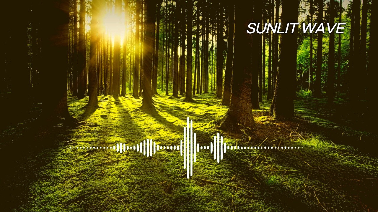 𝑷𝒍𝒂𝒚𝒍𝒊𝒔𝒕 🎸l «Мгновенная смена атмосферы» 🔥 Песни, чтобы привести мысли в порядок. ✨ Acoustic pop