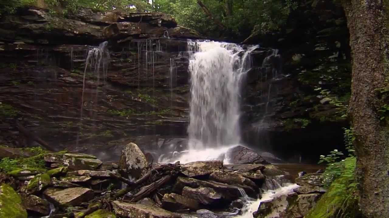 Monongahela National Forest: Birthplace of Rivers | Pew & This American Land