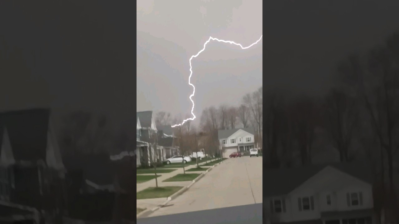 stupid cat the very huge lightning bolt strikes before a thunderstorm merowing