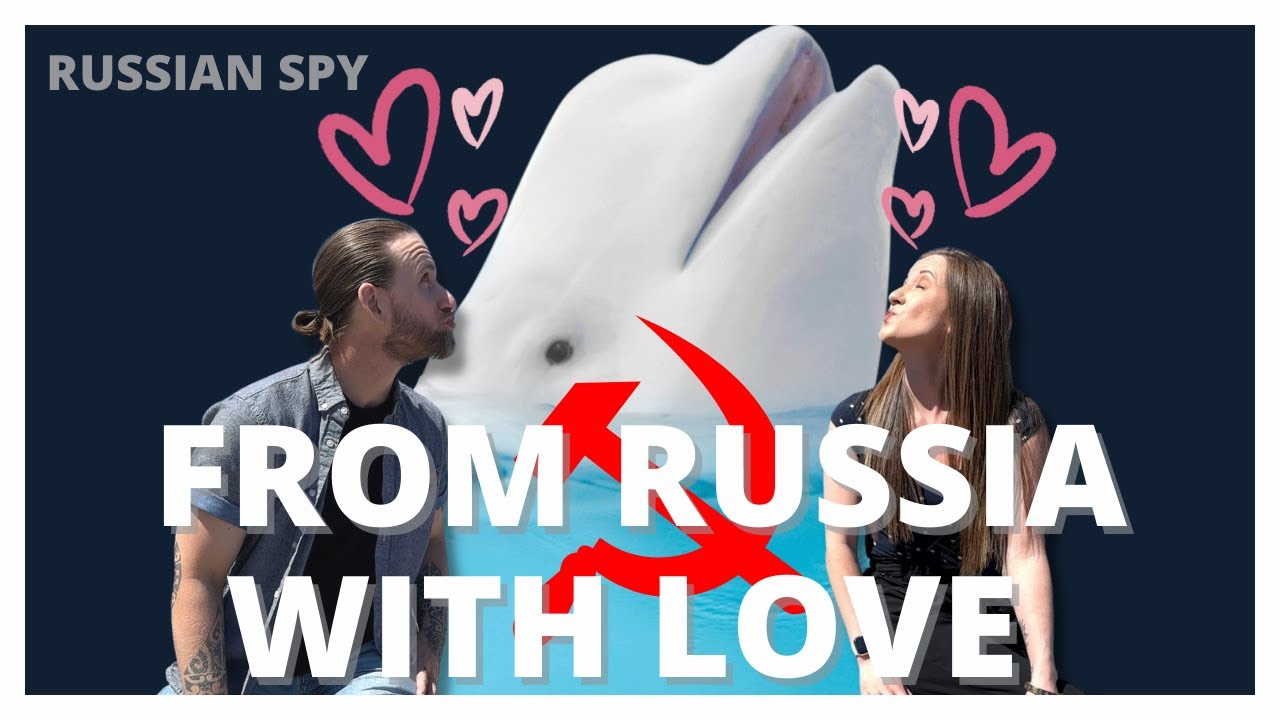 Hvaldimir The RUSSIAN SPY Whale Is Behind The Nord Stream Pipeline Attack? | Nat and The Guy