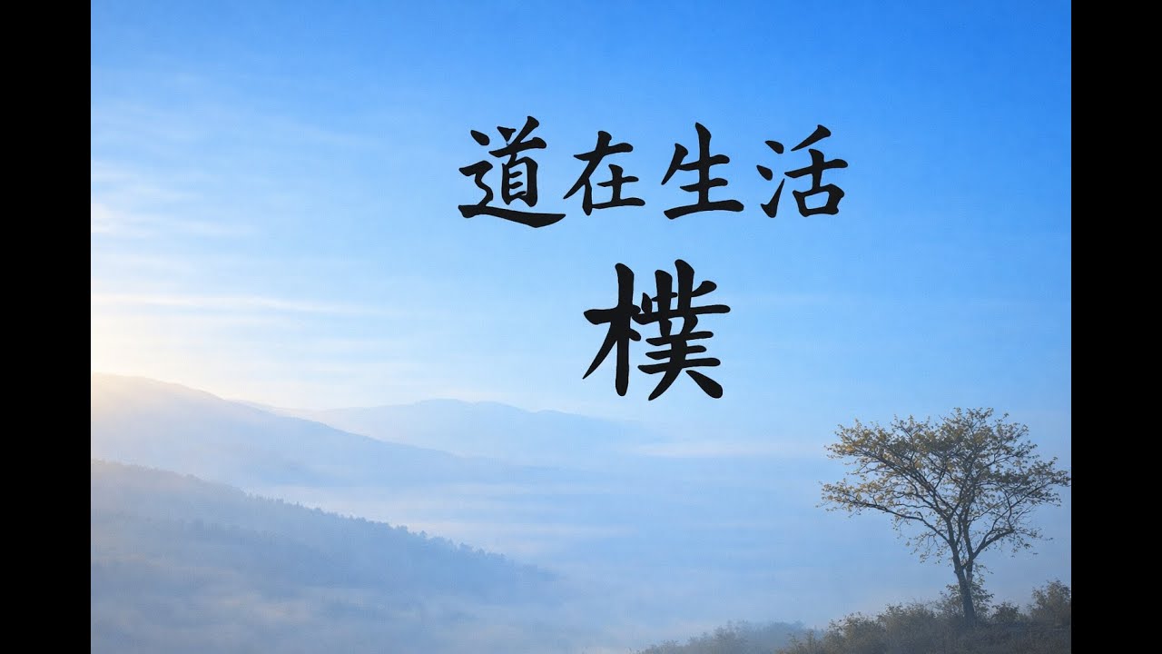 道在生活-樸