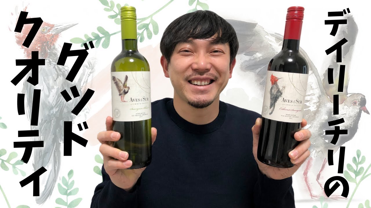 【チリ ワイン】スーパーで買えるナイスコスパのデイリーワイン！ ゆきおとワイン399「Aves Del Sur Sauvignon Blanc & Cabernet Sauvignon 2021」