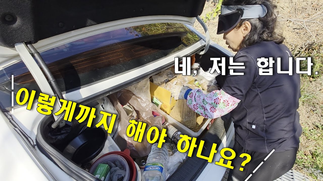 하루 10시간을 길고양이 밥주러 다니는 사람… 누군지 알고 보니?