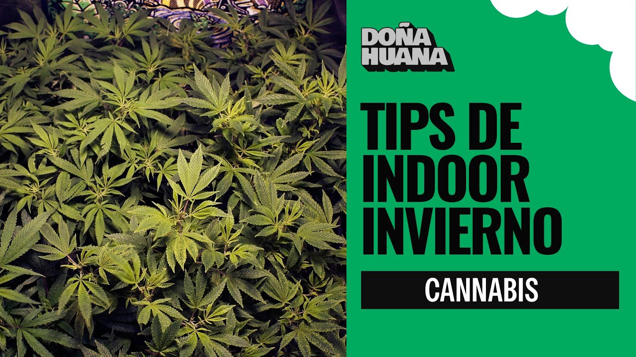TIPS de INDOOR para INVIERNO