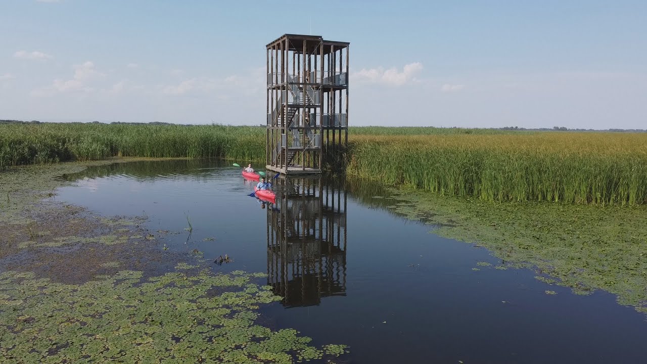 Tisza tavi kajak- és kerékpártúra 2024