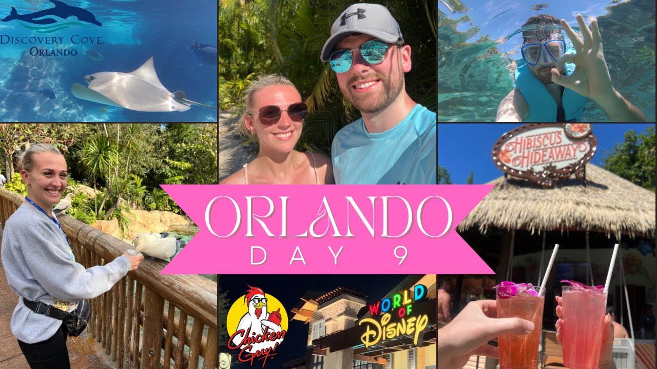 DISCOVERY COVE VLOG | Premium Drinks Package & Chicken Guy | Orlando Day 9